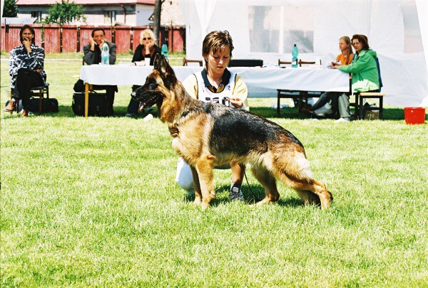 Kynologická revue - www.dogsk.sk