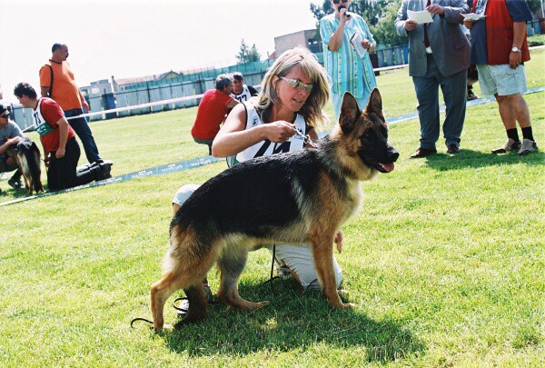 Kynologická revue - www.dogsk.sk