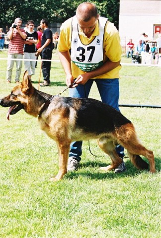 Kynologická revue - www.dogsk.sk