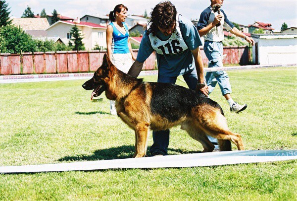 Kynologická revue - www.dogsk.sk