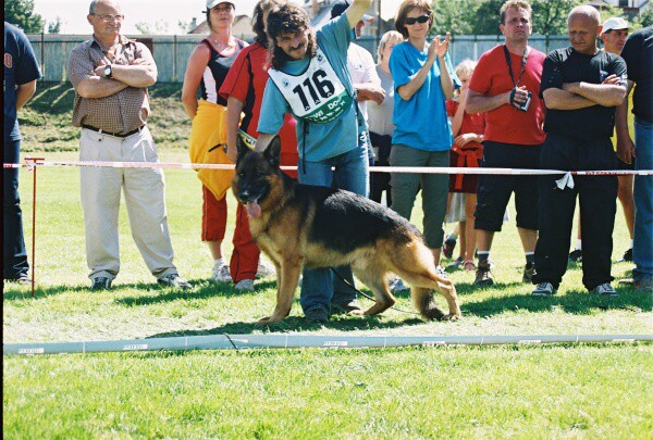 Kynologická revue - www.dogsk.sk