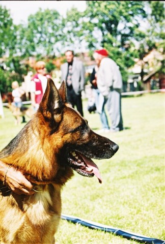 Kynologická revue - www.dogsk.sk