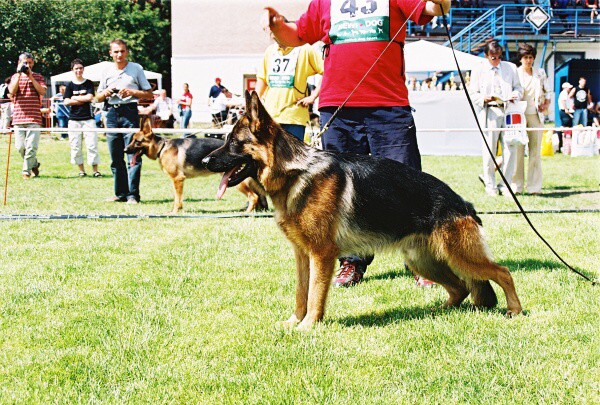 Kynologická revue - www.dogsk.sk