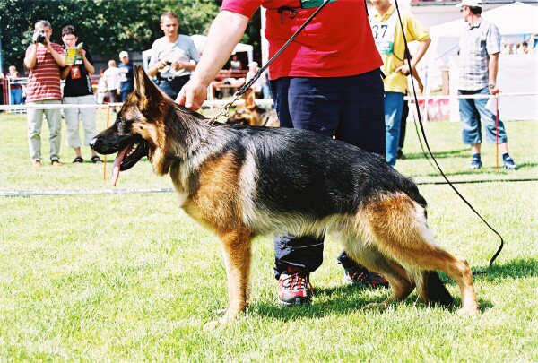 Kynologická revue - www.dogsk.sk