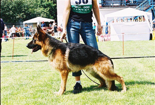 Kynologická revue - www.dogsk.sk
