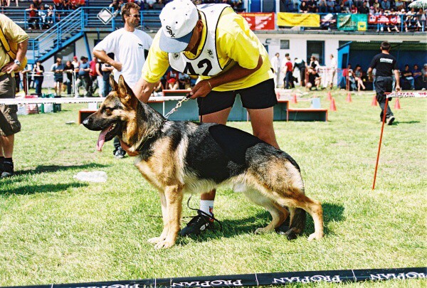 Kynologická revue - www.dogsk.sk
