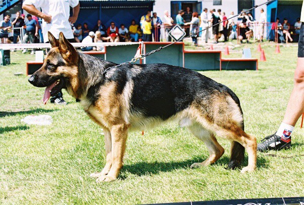 Kynologická revue - www.dogsk.sk