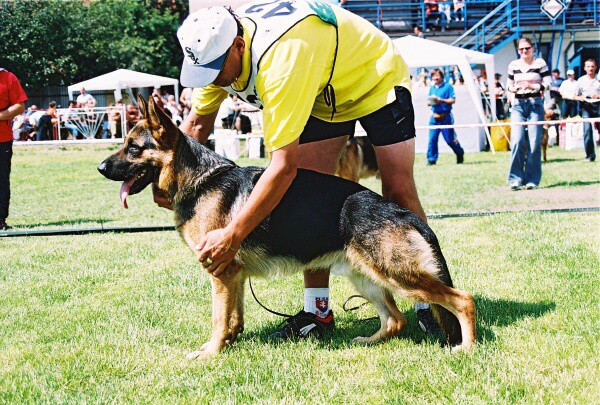 Kynologická revue - www.dogsk.sk