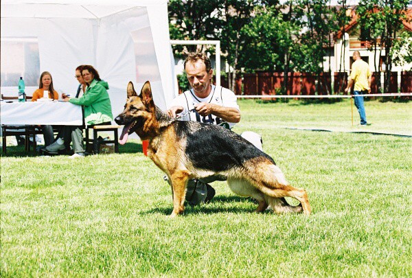 Kynologická revue - www.dogsk.sk