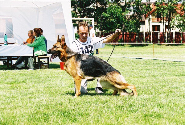 Kynologická revue - www.dogsk.sk