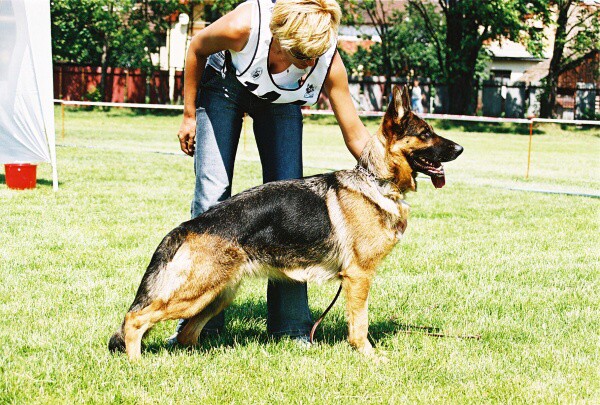 Kynologická revue - www.dogsk.sk