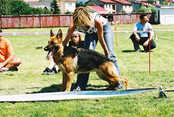 Kynologická revue - www.dogsk.sk