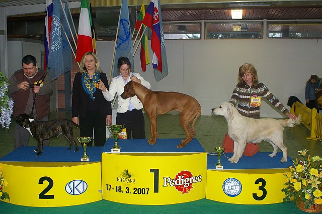 17. marca 2007 16:39:50