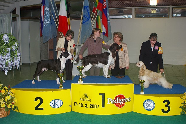 17. marca 2007 16:54:30