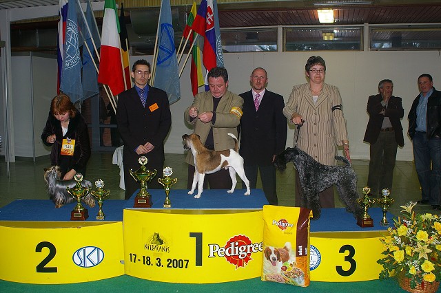17. marca 2007 17:46:03