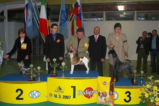 17. marca 2007 17:46:10
