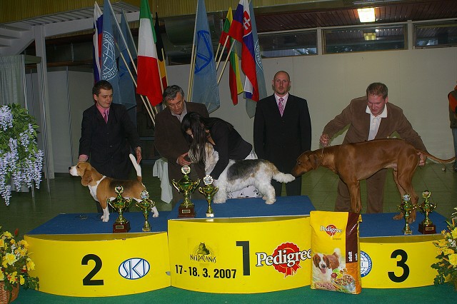 17. marca 2007 18:04:52