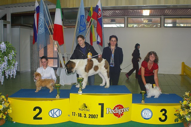 18. marca 2007 16:42:39