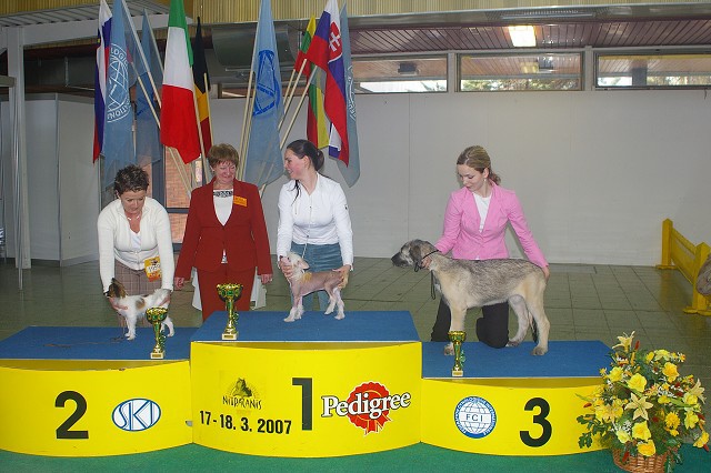 18. marca 2007 16:47:51