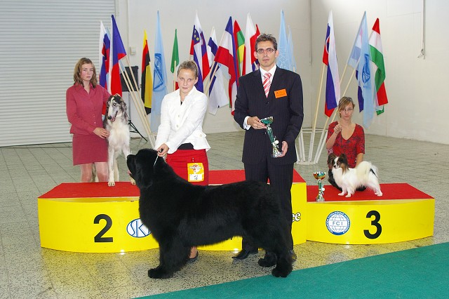 4. novembra 2007 16:31:45