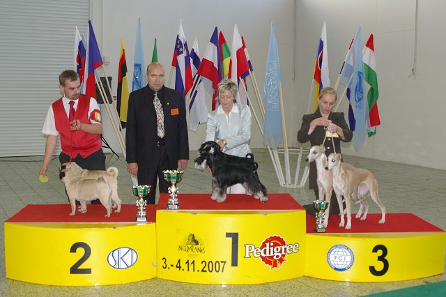 4. novembra 2007 16:44:45