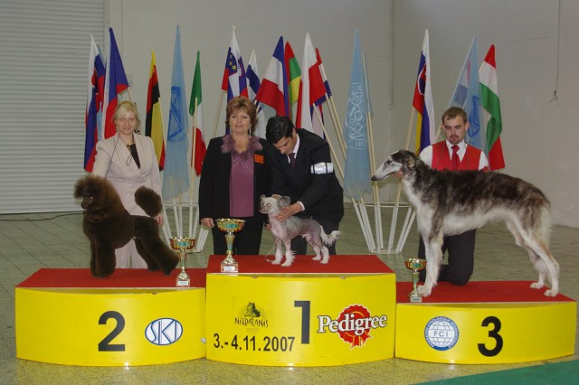 4. novembra 2007 17:22:47