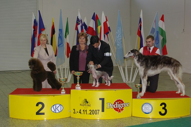4. novembra 2007 17:22:52