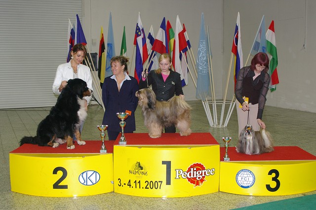 4. novembra 2007 17:44:23