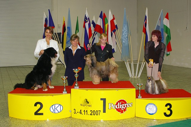 4. novembra 2007 17:44:29