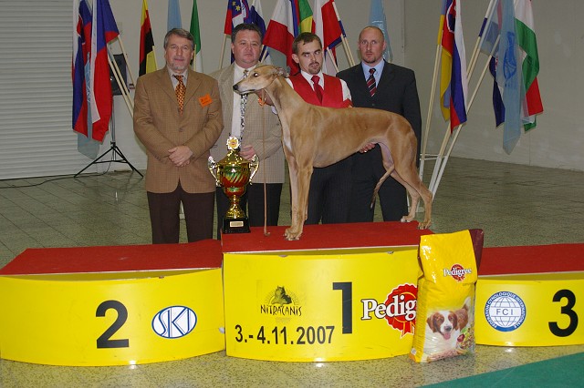 4. novembra 2007 18:16:02
