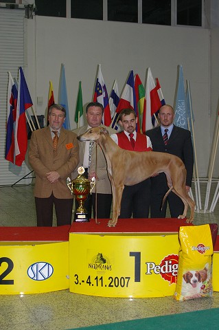 4. novembra 2007 18:16:15