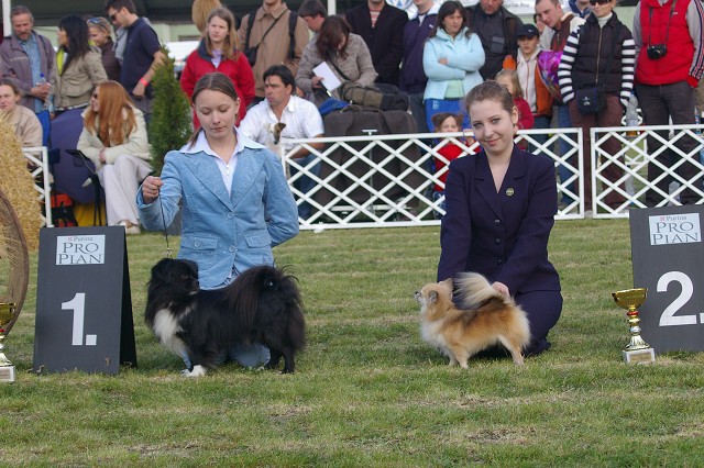 7. apríla 2007 15:17:05