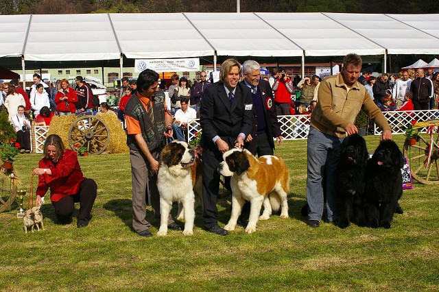 7. apríla 2007 15:38:22
