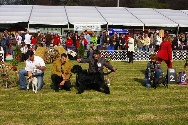 7. apríla 2007 15:52:23