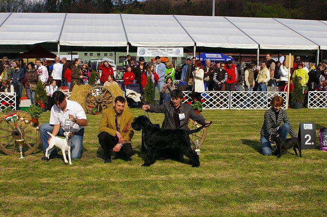 7. apríla 2007 15:52:24
