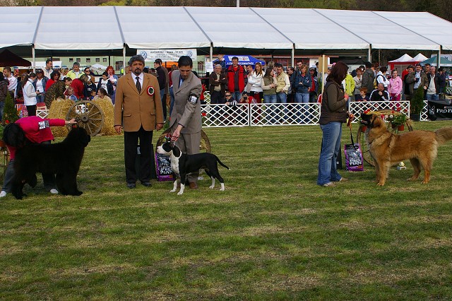 7. apríla 2007 15:59:33