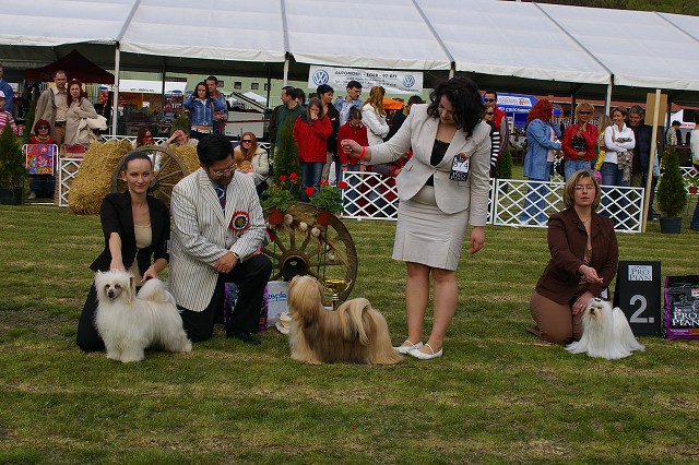 7. apríla 2007 16:31:59