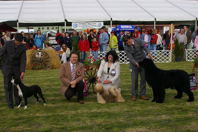 7. apríla 2007 16:44:23