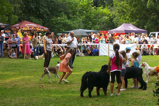 Kynologická revue - www.dogsk.sk