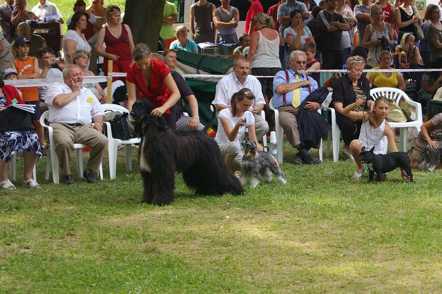 Kynologická revue - www.dogsk.sk