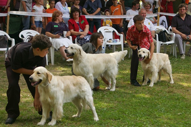 Kynologická revue - www.dogsk.sk
