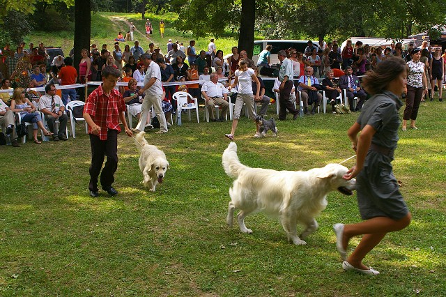 Kynologická revue - www.dogsk.sk