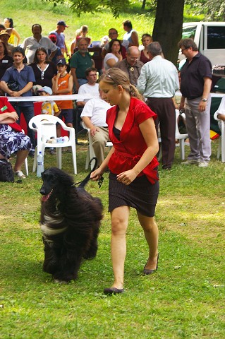 Kynologická revue - www.dogsk.sk