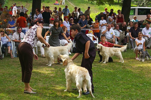 Kynologická revue - www.dogsk.sk
