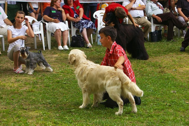 Kynologická revue - www.dogsk.sk