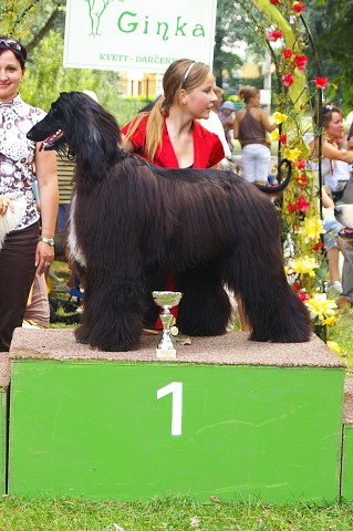 Kynologická revue - www.dogsk.sk