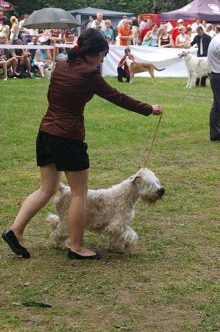 Kynologická revue - www.dogsk.sk