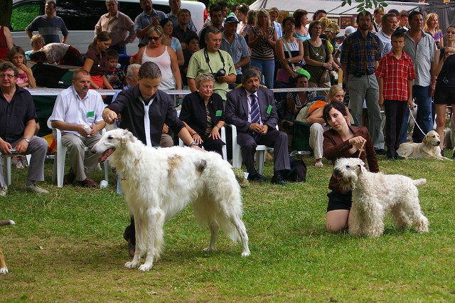Kynologická revue - www.dogsk.sk