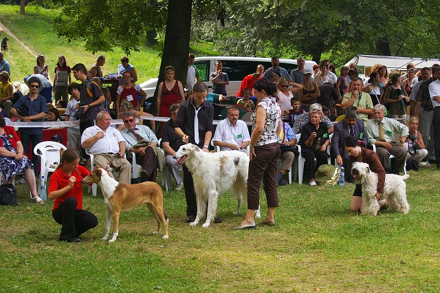 Kynologická revue - www.dogsk.sk