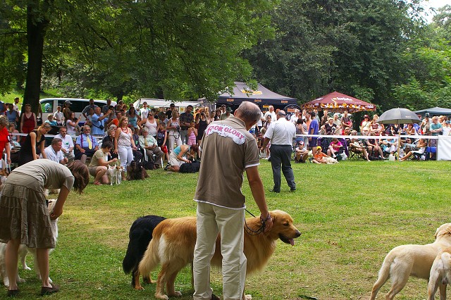 Kynologická revue - www.dogsk.sk